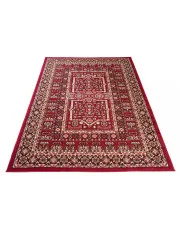 Bordowy dywan vintage - Zibo w sklepie o6i2u8y4t0z.info