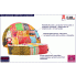 Zdjęcie materiałowa sofa Lekma - patchwork | o6i2u8y4t0z.info